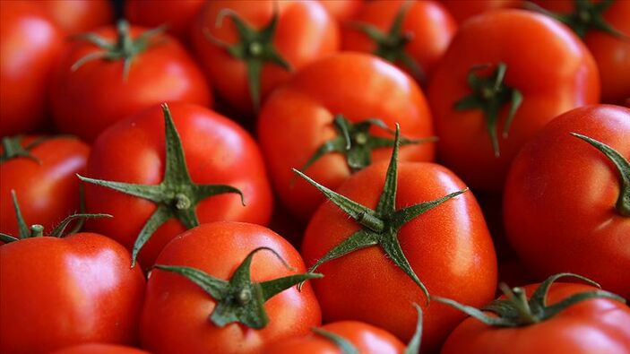 Domatesin fiyatı yüzde 40 düştü