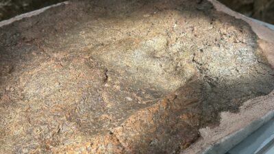 İznik’te bir ilk… 8 bin yıllık ayak izi ziyarete açıldı
