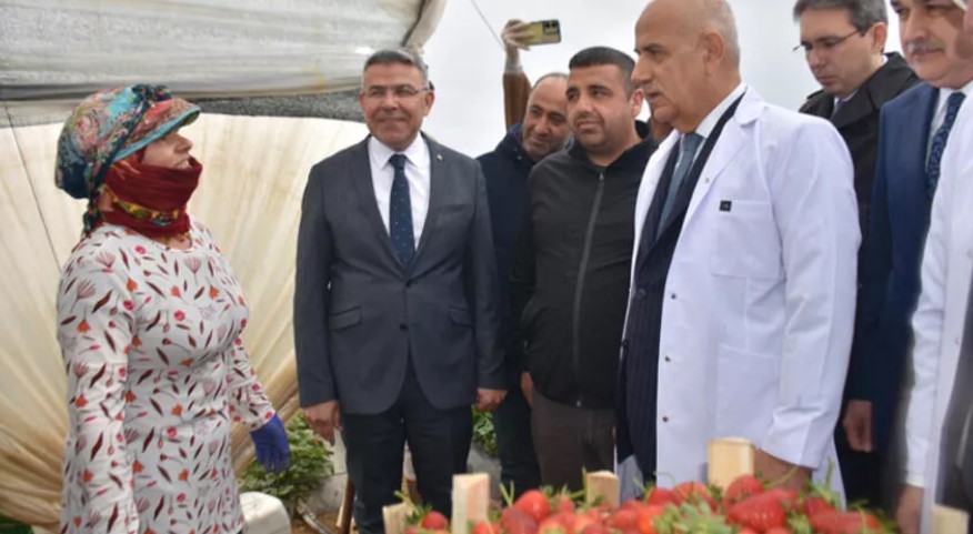 Bakan Vahit Kirişci: Örtü altı üretim alanı 811 bin dekara çıktı