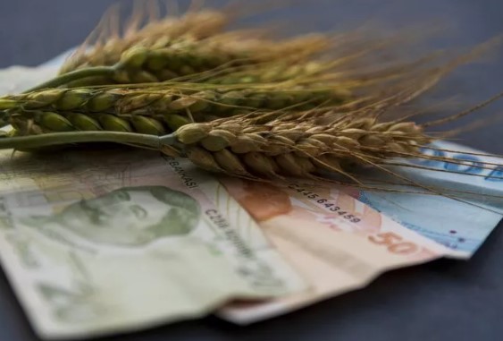 Buğday ithalatında yeni karar
