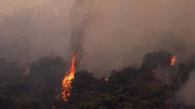 İspanya-Fransa sınırında orman yangını:300 kişi tahliye edildi
