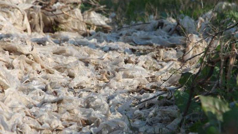 Greenpeace’den plastik geri dönüşümü açıklaması