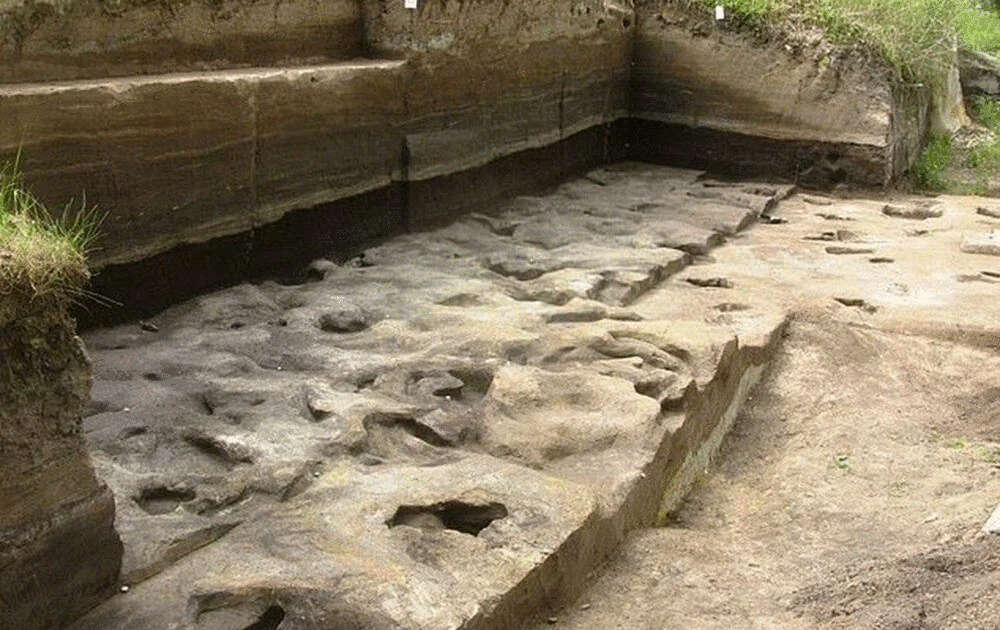 Dünyanın en eski insan ayak izleri bulundu: 300 bin yıllık