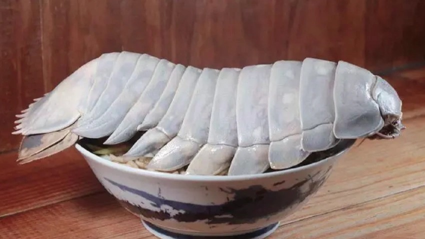 Bu böceği yemek için sıraya giriyorlar
