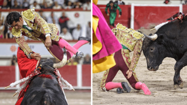 Boğanın havaya fırlattığı matador yığılıp kaldı