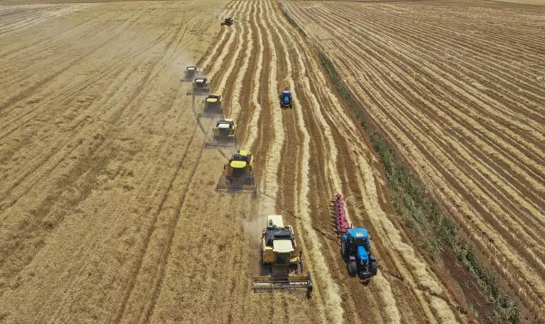 Buğday hasadı başladı! Hasadı yapılan ilk buğday kaç liradan satıldı? İşte 2023 ürünü buğdayın fiyatı Buğday hasadı başladı! Hasadı yapılan ilk buğday kaç liradan satıldı? İşte 2023 ürünü buğdayın fiyatı