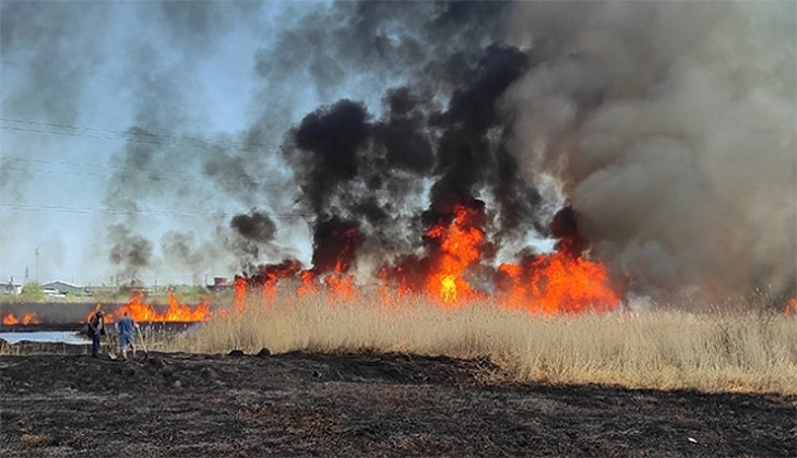 Rusya’da orman yangını: 21 ölü