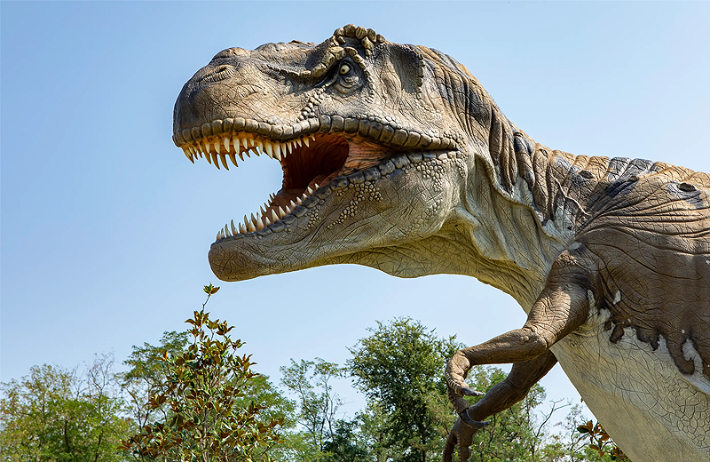 Dünya üzerinde toplam kaç T-Rex yaşadı?