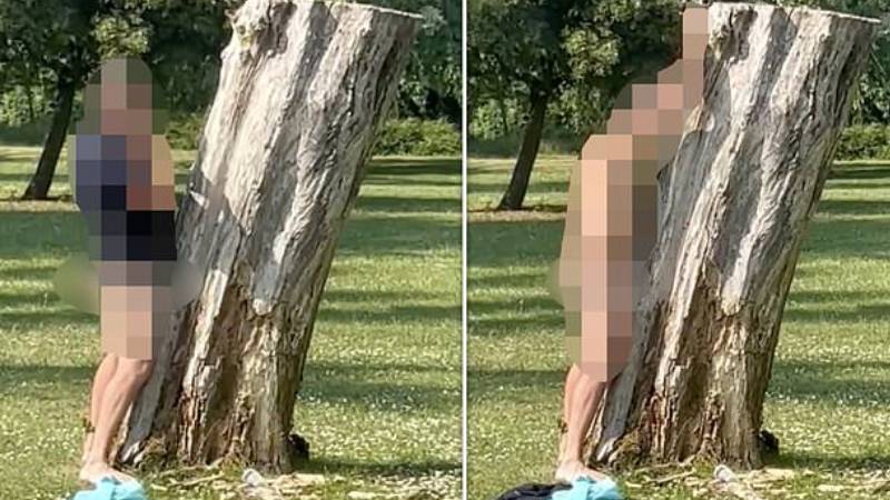 Ağaçla seks yapmaya çalışan adam gözaltına alındı