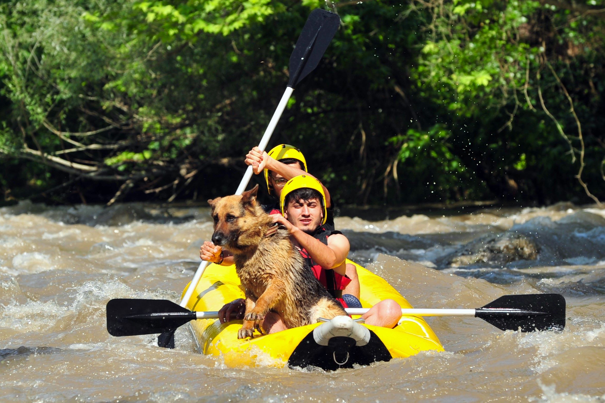 Rafting tutkunlarının tercihi Bursa oluyor!
