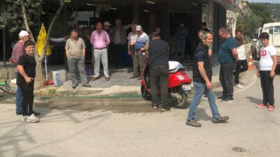Bursa’da yılana kebapçı müdahalesi