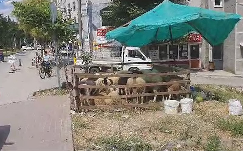 Bursa’ya hizmet bayramı geliyor