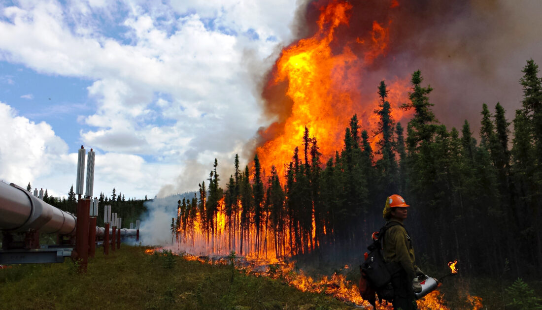 Kanada’da orman yangınları sürüyor: Binlerce kişi tahliye edildi