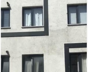 Toplu arı paniği kamerada: Vatandaşlar pencereleri açamadı