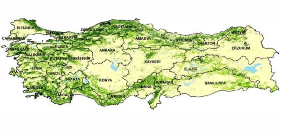 Harita ortaya çıktı! Türkiye’nin en yeşil kentleri