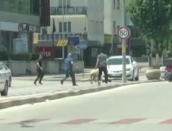 Bursa’da motosikletle koyun taşıdı