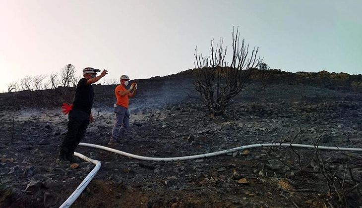 Datça’da çıkan yangında 25 hektarlık alan zarar gördü