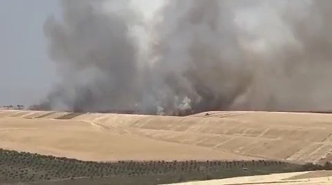 Diyarbakır’da 100 dönüm alanda ekili buğday yandı