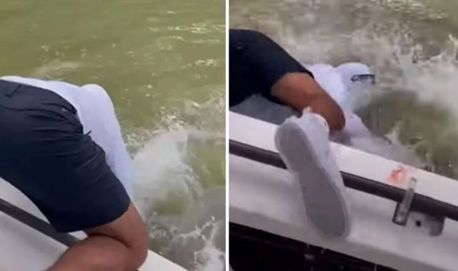 El nino hava olayı köpek balıklarının rotasını şaşırtıyor