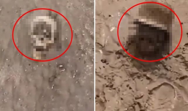 Ukrayna’da selden sonra ortaya çıkan görüntüler ürküttü
