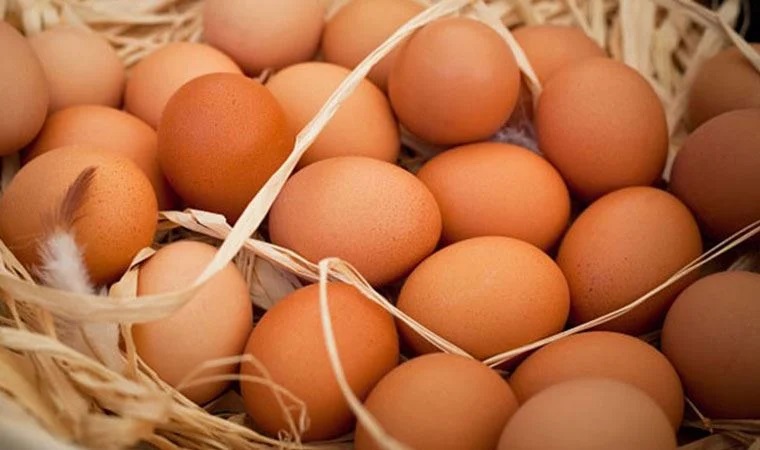 Yumurtayı buzdolabına koyanlar yandı, milyonlarca insan biliyormuş