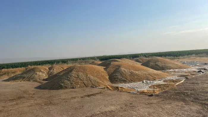 TMO siloları boşaltmadı: Çiftçi zararda