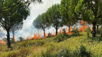 Bursa’da ekipler yangın riskine karşı teyakkuzda