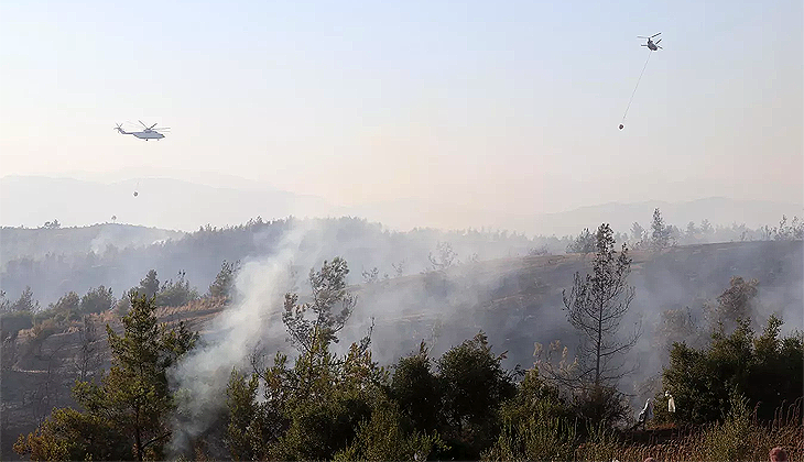 Adana’da orman yangını