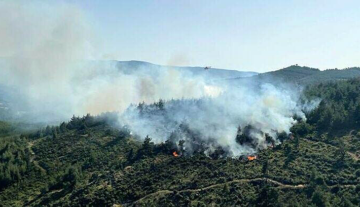 Balıkesir’de orman yangını