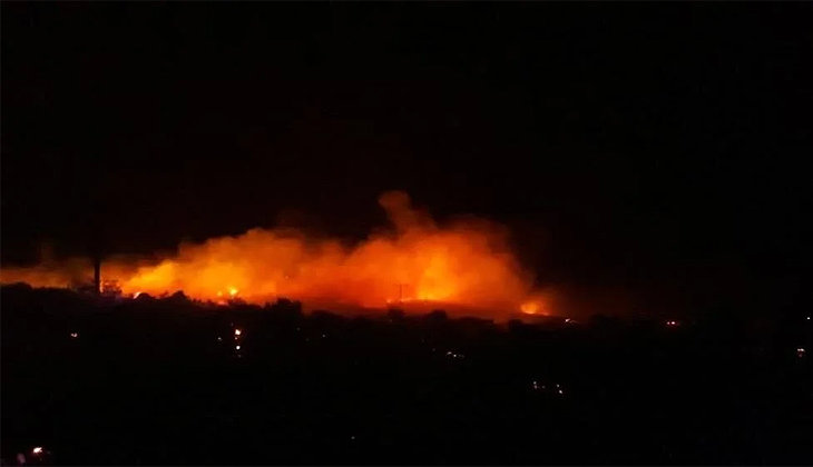 Urla’da makilik alanda yangın