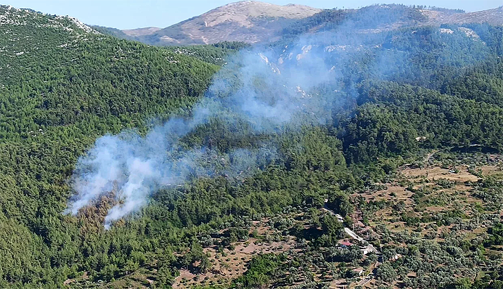 Milas’ta çıkan orman yangını söndürüldü