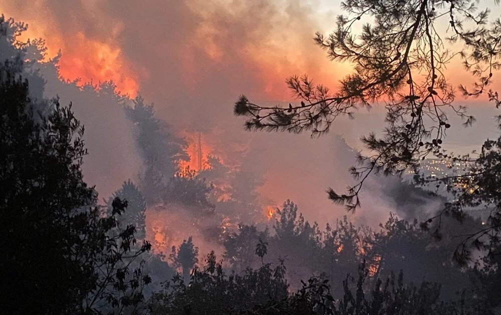 Hatay, Çanakkale, Tekirdağ, Balıkesir, Muğla, Adana ve Mersin’de orman yangını