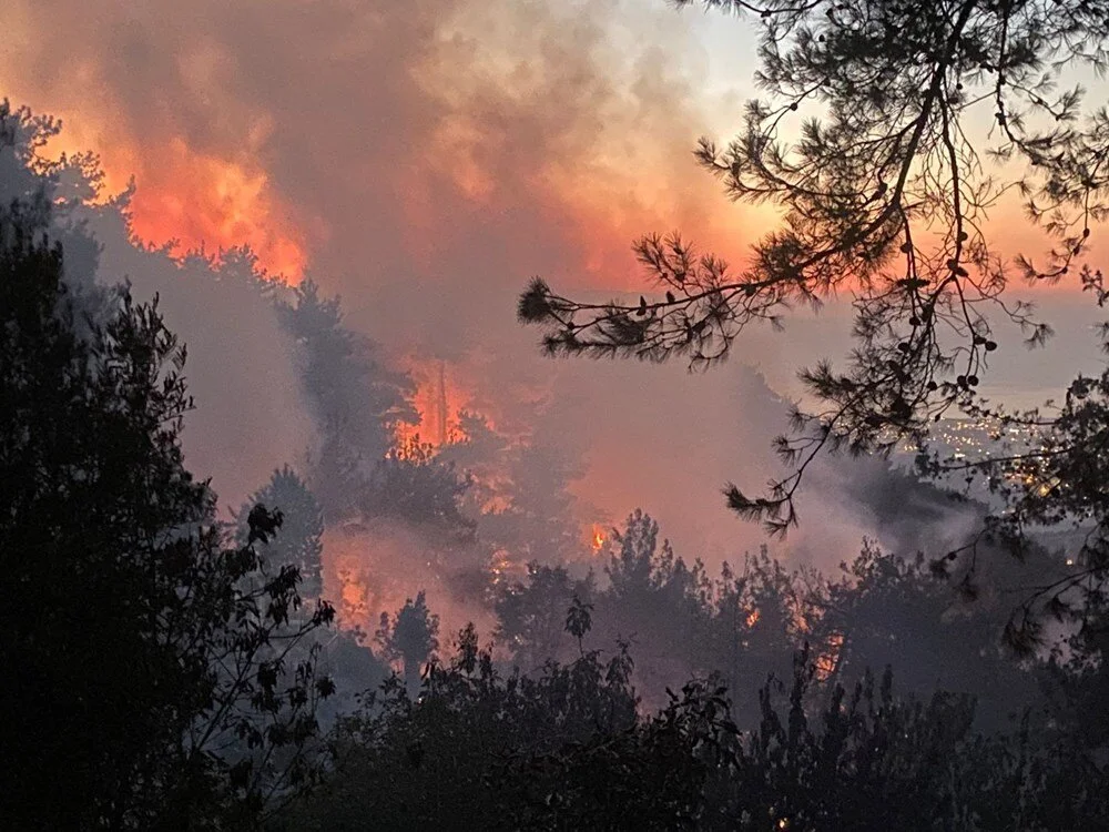 Hatay, Çanakkale, Tekirdağ, Balıkesir, Muğla, Adana ve Mersin’de orman yangını