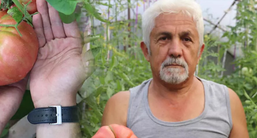 Kimsenin kullanmadığı tohumları kullandı, sonuç şaşkına çevirdi