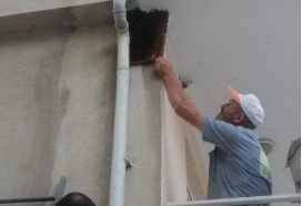 Bursa’da kovandan firar eden binlerce arı, apartmanın balkonuna oğul yaptı