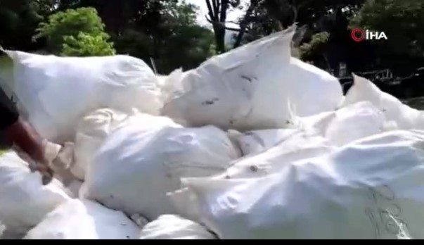 Panama’da 6.7 ton kaçak köpek balığı yüzgeci ele geçirildi