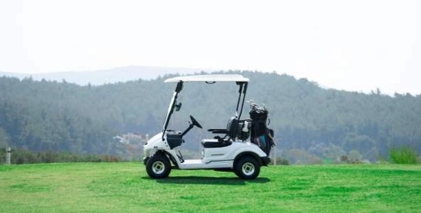 ABD’de 3 yaşındaki çocuk, golf arabasıyla abisini öldürdü