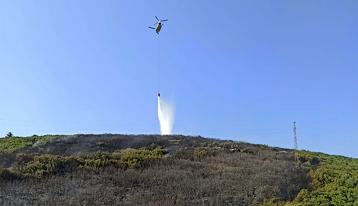 Muğla’daki orman yangını kontrol altına alındı