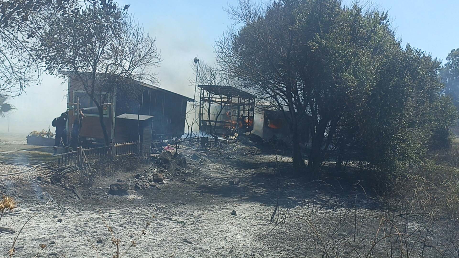Bodrum’da ‘tiny house’lara sıçrayan yangın söndürüldü