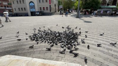 Bursa’da sıcak hava manzaraları… Meydan güvercinlere kaldı!