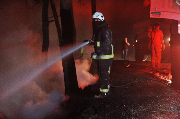 Bursa’da ormanı yakan şüphelinin ifadesi pes dedirtti!
