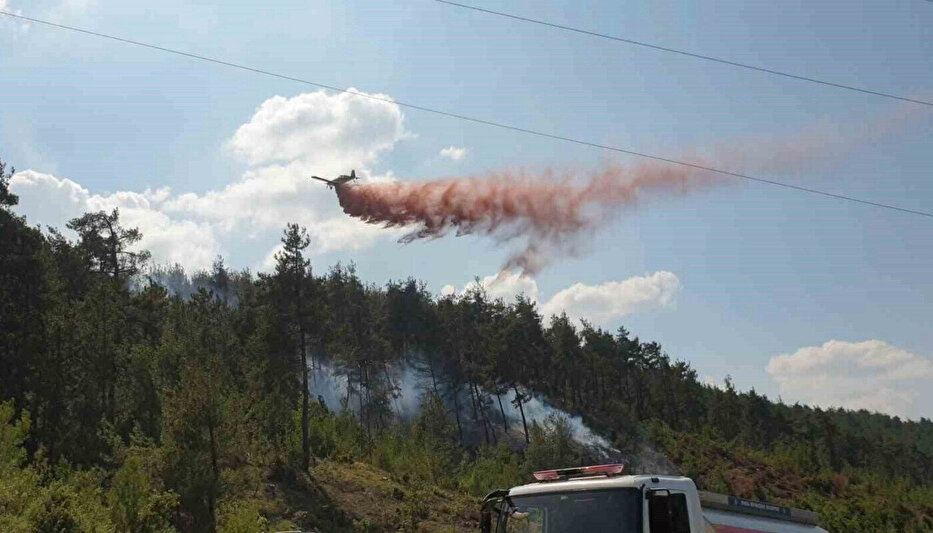 Bursalılar dikkat: O tarihe kadar ormanlarda ateş yakmak yasak!