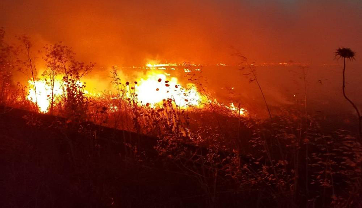 Gönen’de anız yangını: 60 dönüm yer kül oldu