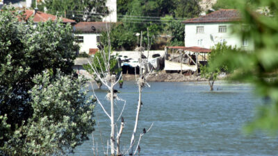 Bursa’da baraj suları içinde kalan ağacı yuva yaptılar
