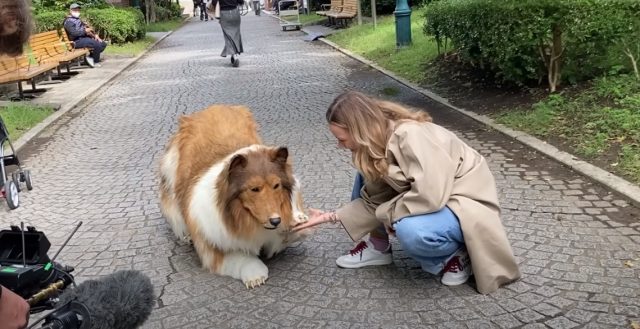 Japon adam, ultra-gerçekçi köpek kostümüyle arkadaşlarından saklanıyor