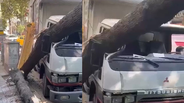 Bursa’da seyir halindeki kamyona ağaç devrildi