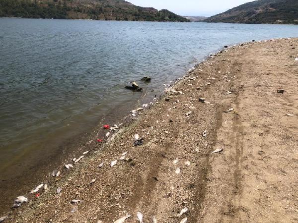 Bursa’da endişe yaratan görüntü!