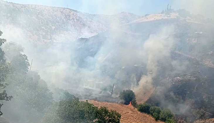 Malatya’da orman yangını