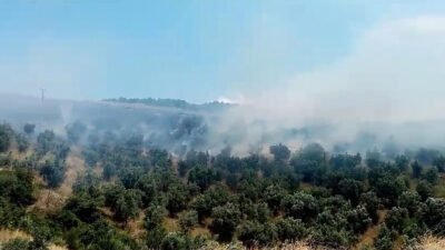 Bursa’da yangın: Hem havadan hem karadan müdahale edildi!