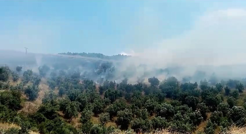 Bursa’da yangın: Hem havadan hem karadan müdahale edildi!